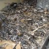 ABS Chrome Plated Plastic Scrap (Recycled from Automobile Industry) - Image 3